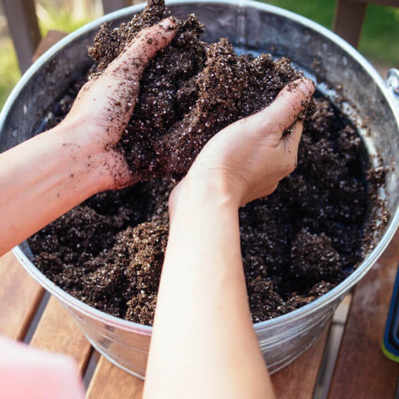 Pre-Fertilized Potting Soil