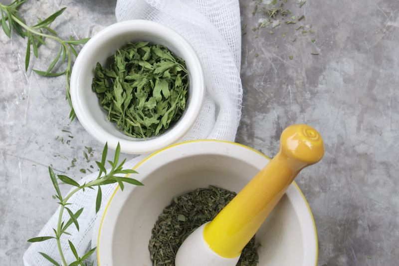 Preserving Thyme for Later Use