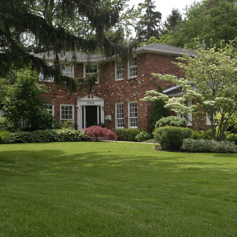 Pristine Lawns