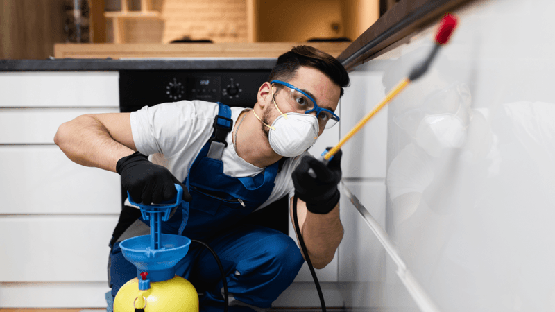 Professional Pest Control