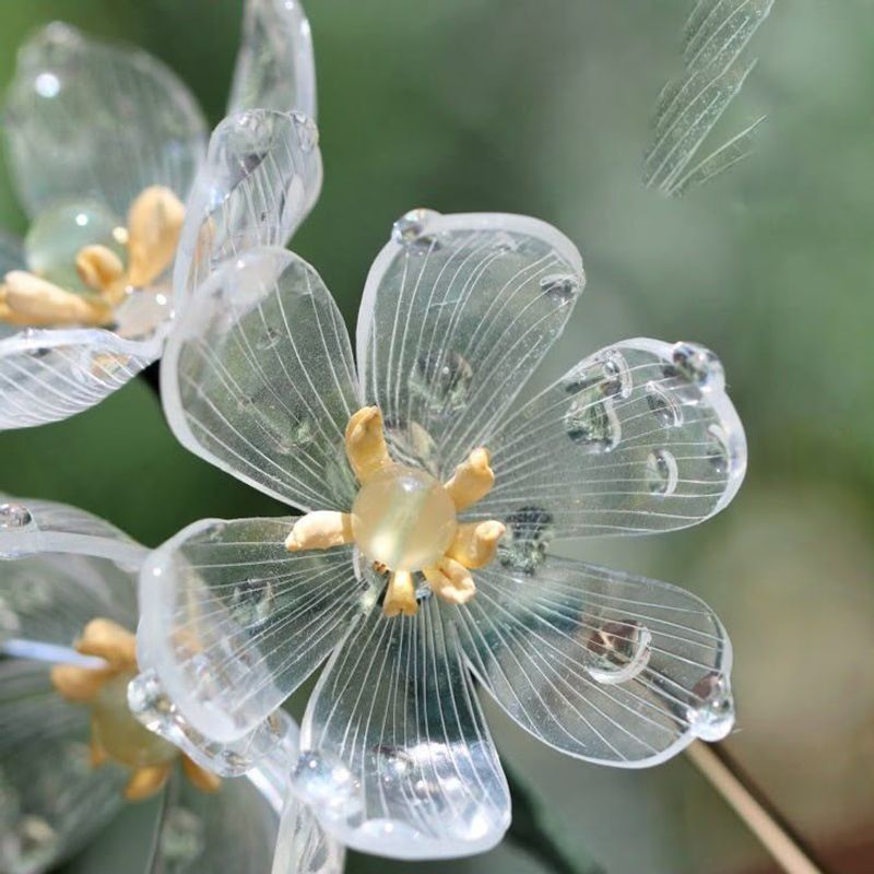 Propagation Methods