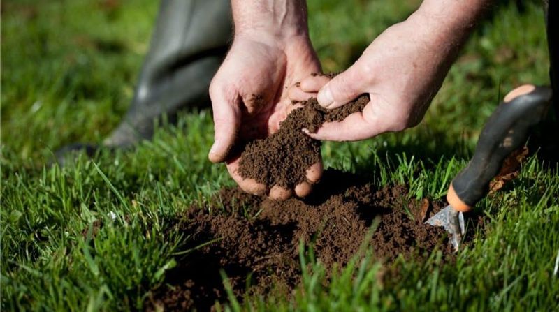 Soil Testing