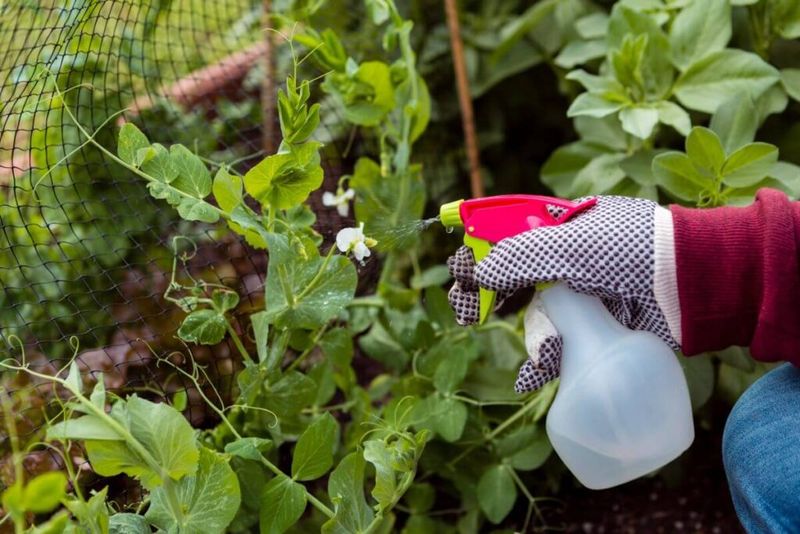 Protect from Pests