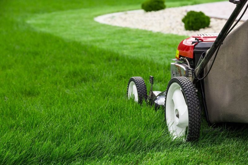 Mowing the Lawn Too Short Before Winter