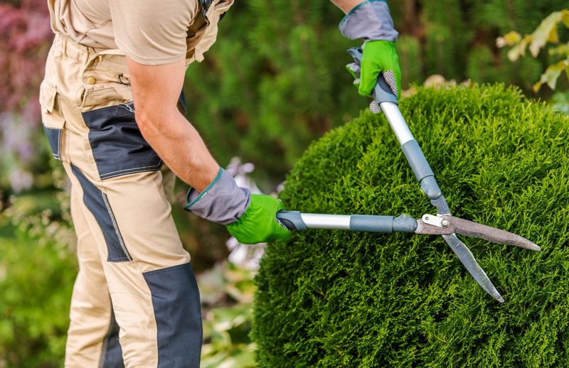 Pruning: Sculpting with Shears
