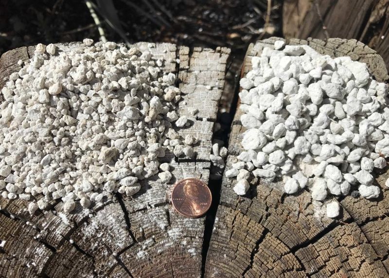 Pumice