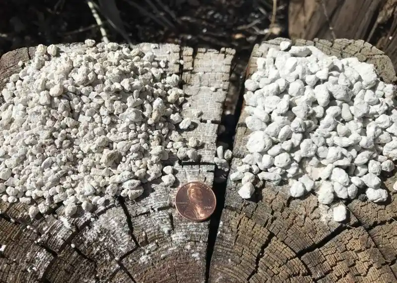 Pumice
