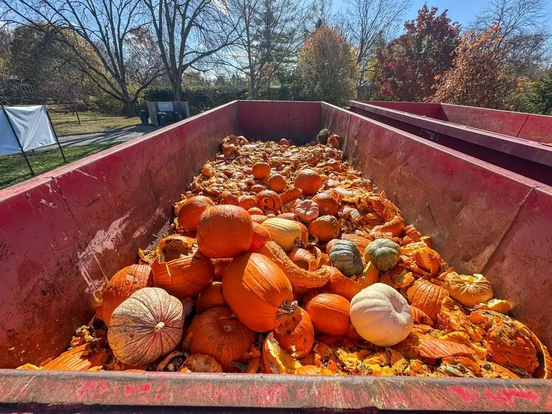 Pumpkin Patch