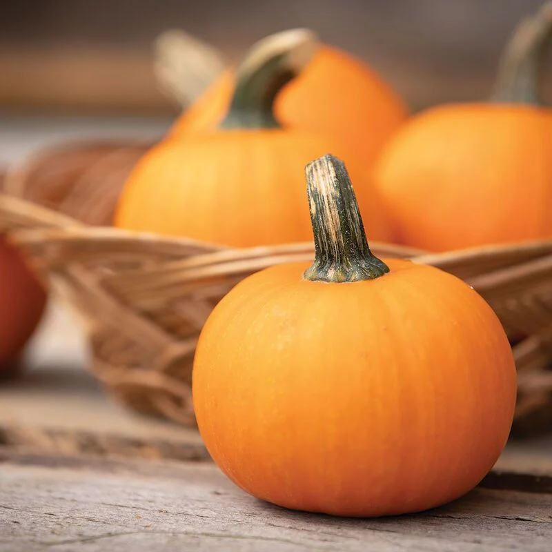 Pumpkins