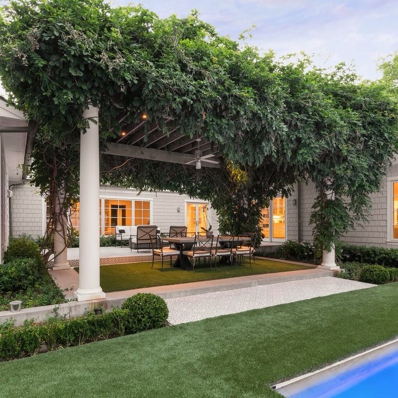 Elegant Pergola with Vines