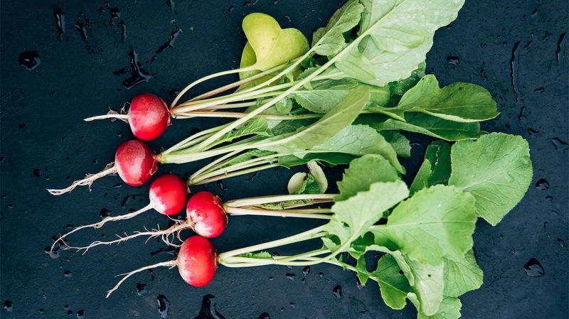 Radish Leaves