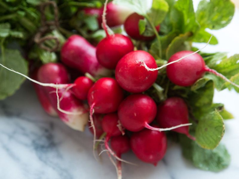 Radishes
