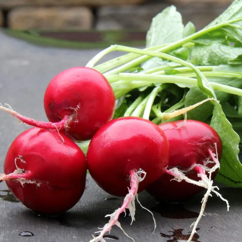Radishes
