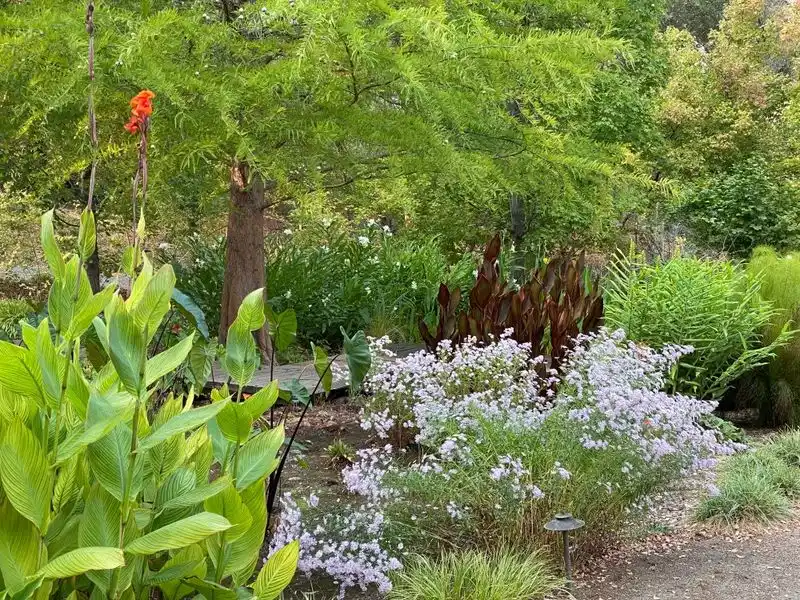 Bog Garden with Overflow