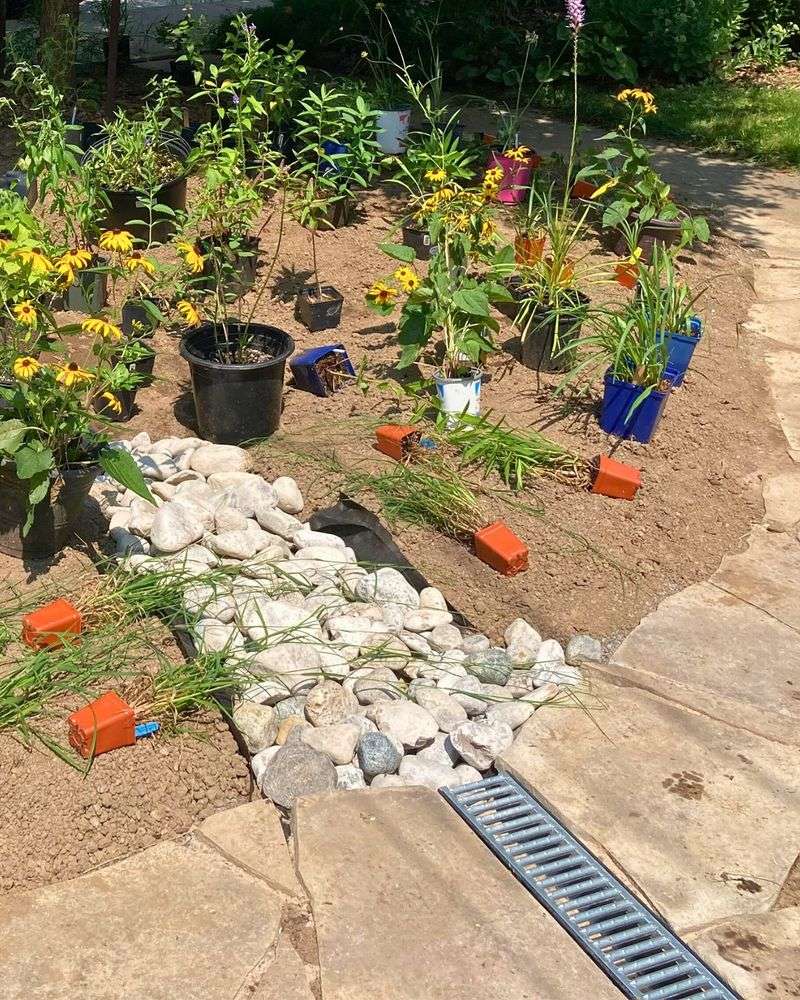 Rain Gardens
