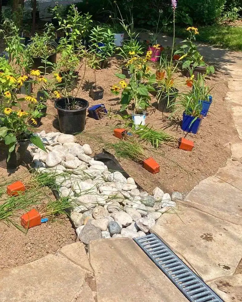 Rain Gardens