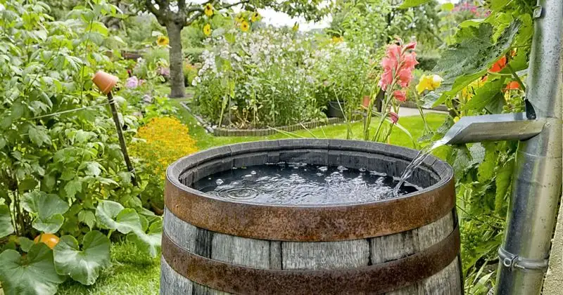 Rainwater Harvesting Reservoirs