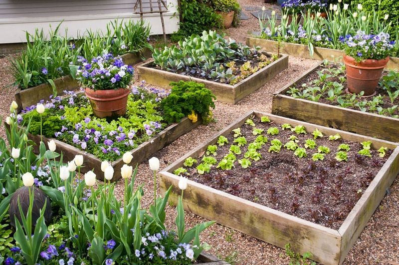 Raised Bed Gardening