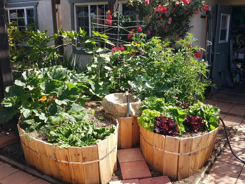Raised Bed Salad Garden