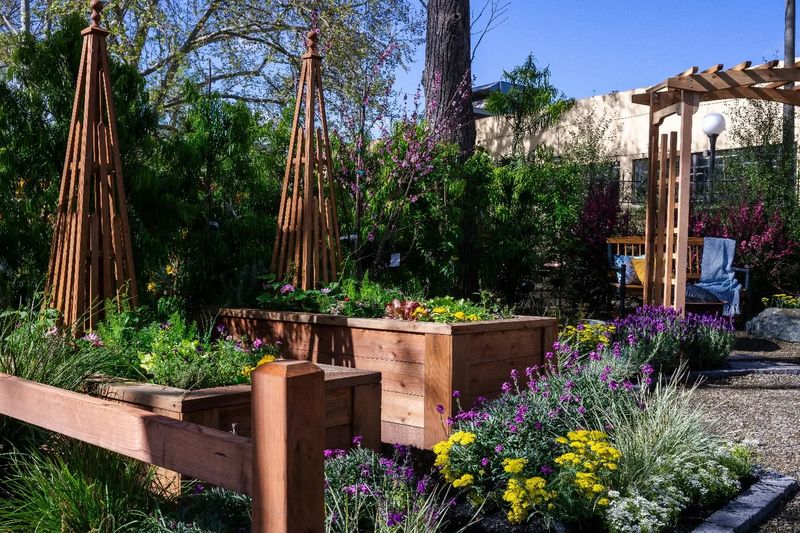 Raised Bed with Edibles