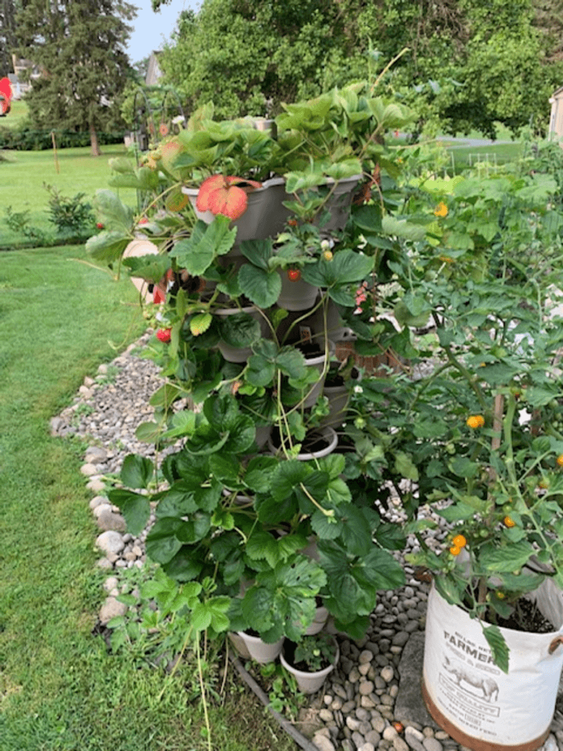 Vertical Veggie Tower