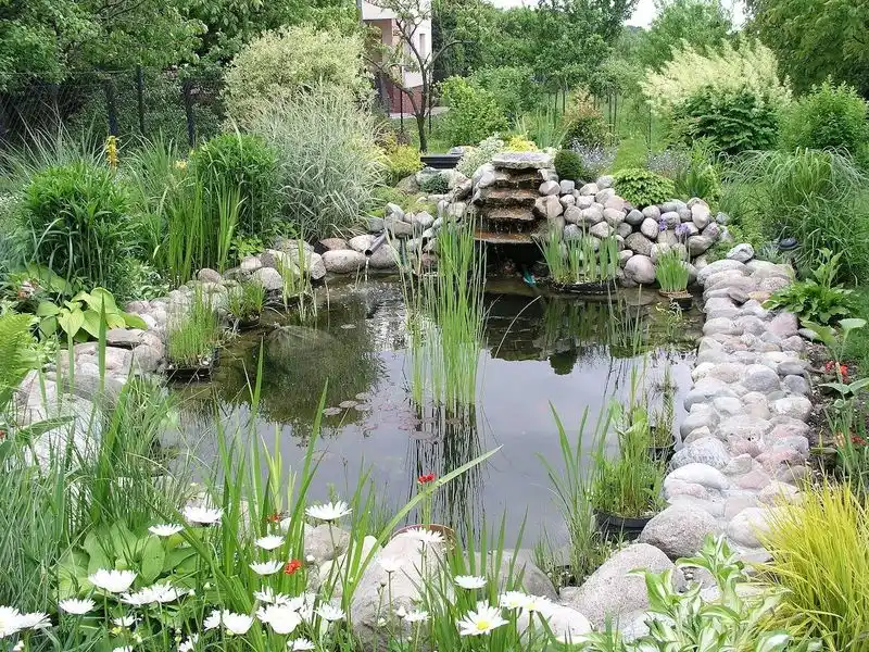 Greywater Recycling Pond