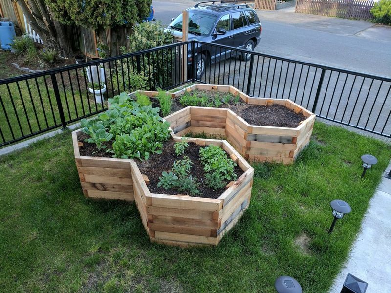 Hexagonal Raised Bed