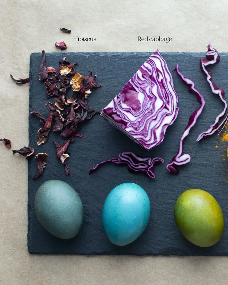 Red Cabbage