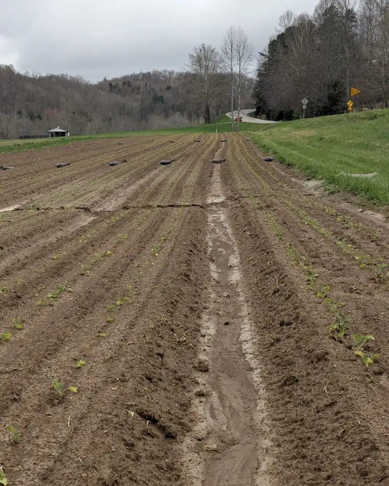 Reduction in Soil Erosion