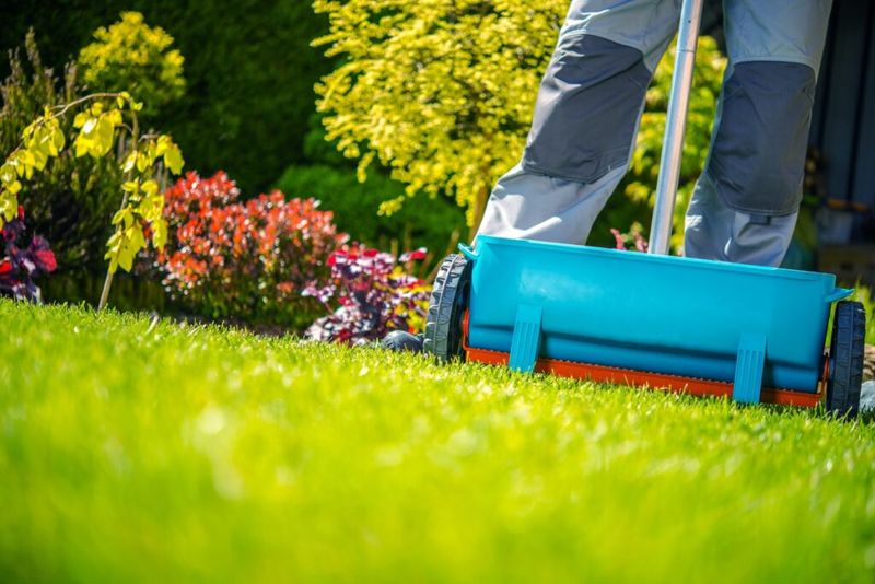 Regular Lawn Maintenance