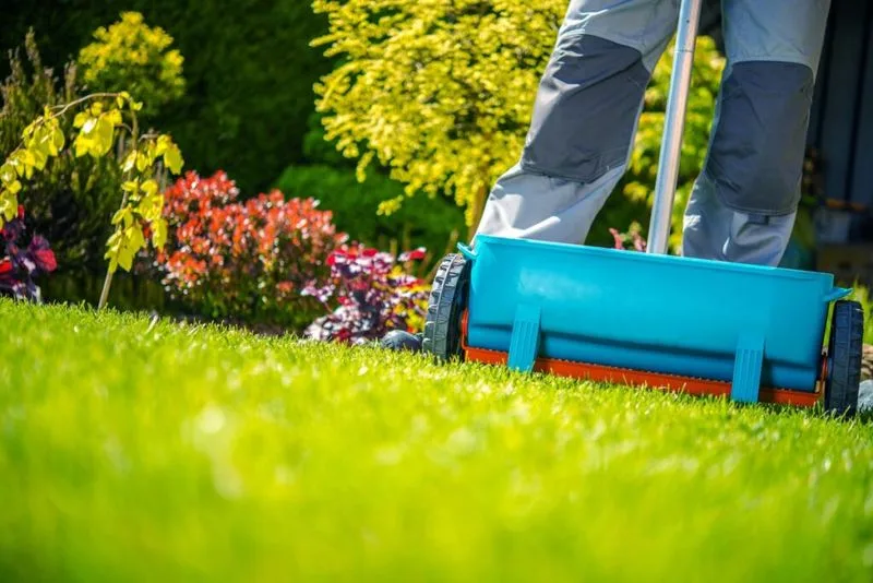 Regular Lawn Maintenance