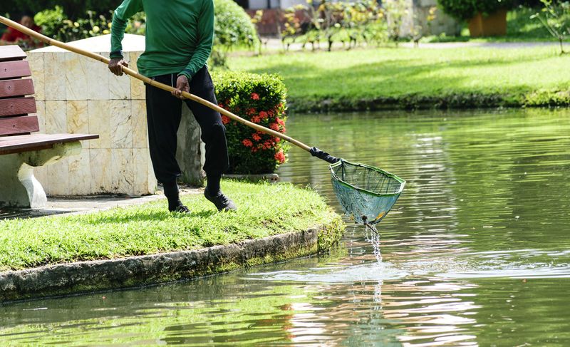 Regular Pond Maintenance