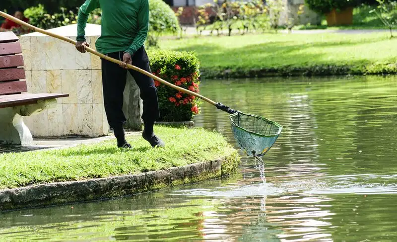 Regular Pond Maintenance