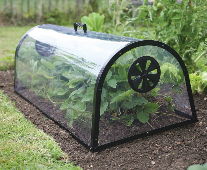 Protective Plant Cloches