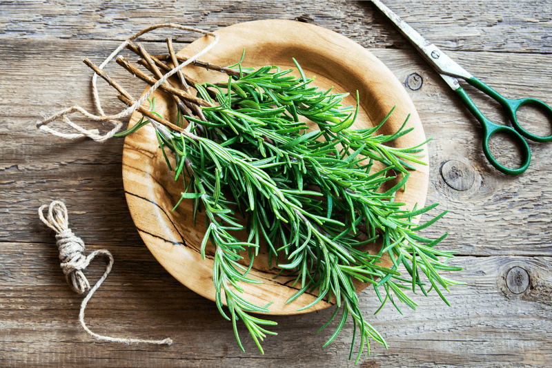Rosemary