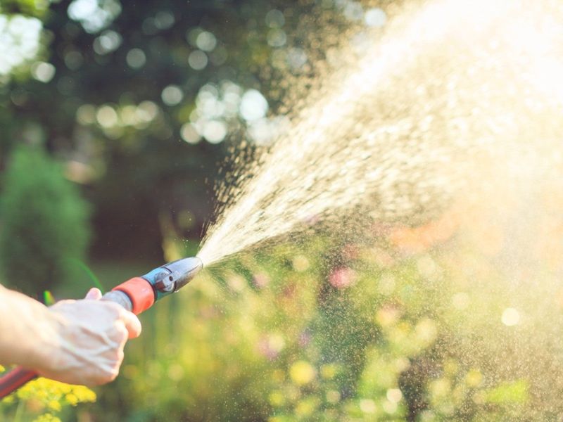 Watering During Peak Sun