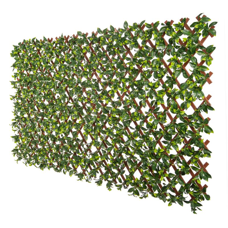 Expandable Support Grids