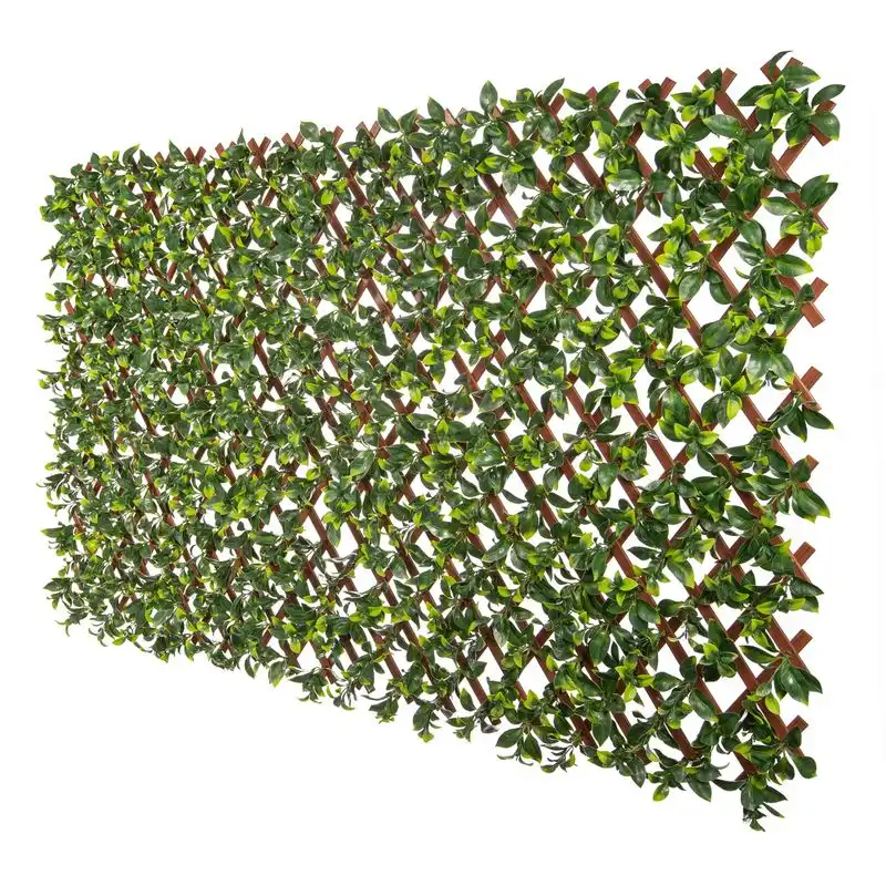 Expandable Support Grids