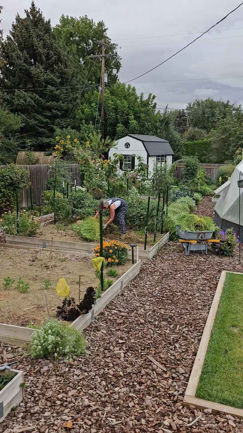 Revitalized Soil Health