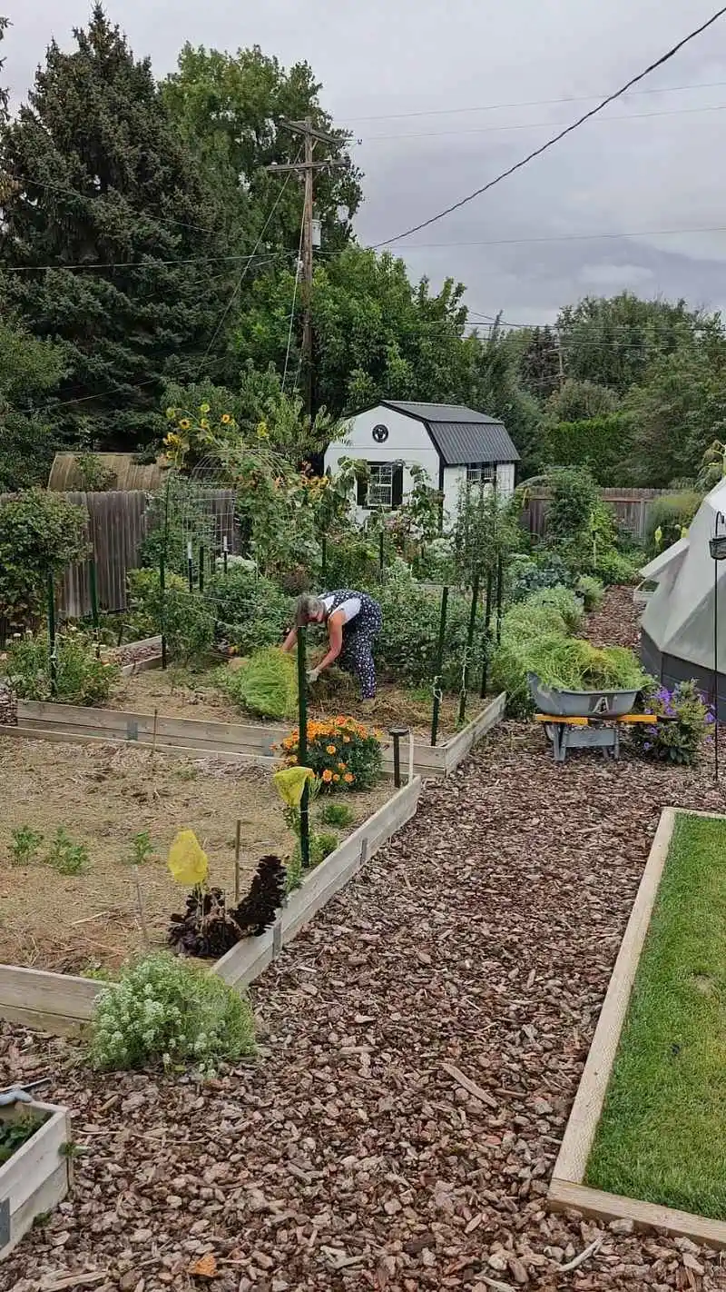 Revitalized Soil Health