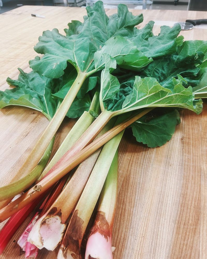 Rhubarb