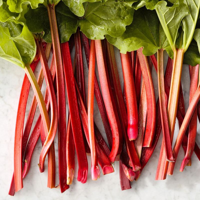 Rhubarb