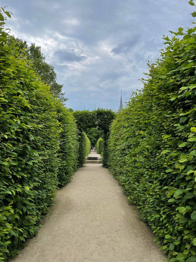 Formal Hedge Mazes