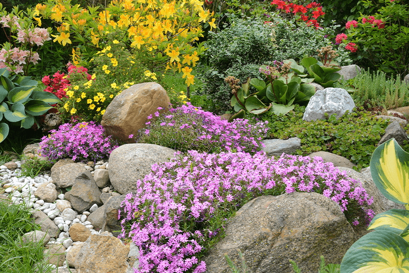 Rock Gardens