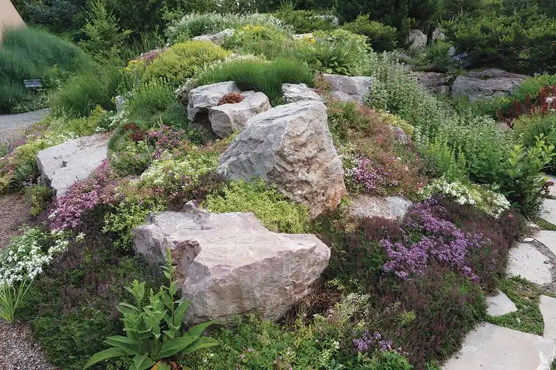 Rock Placement