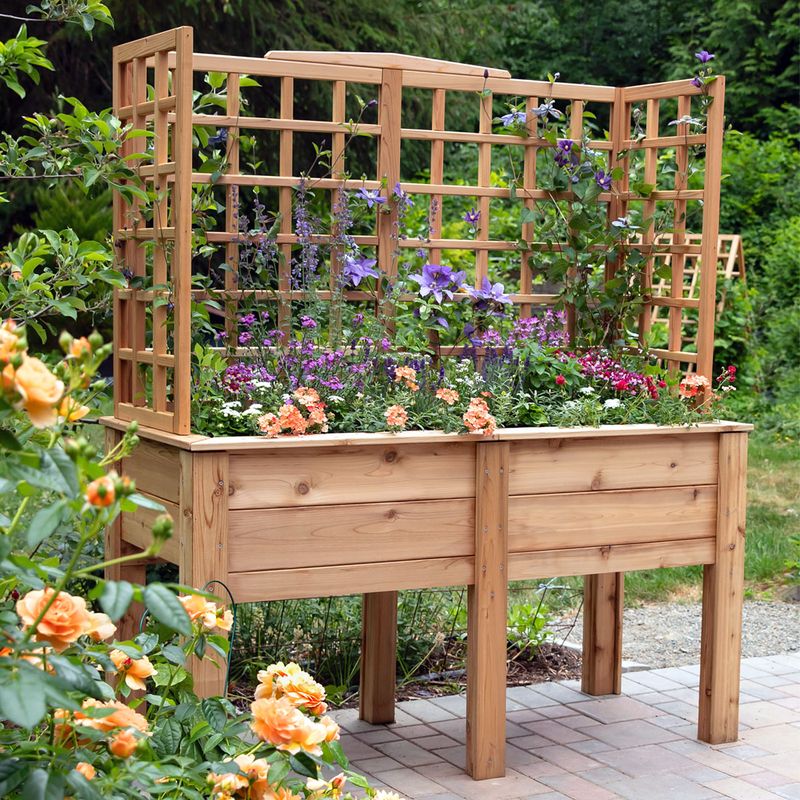 Cedar Elevated Box