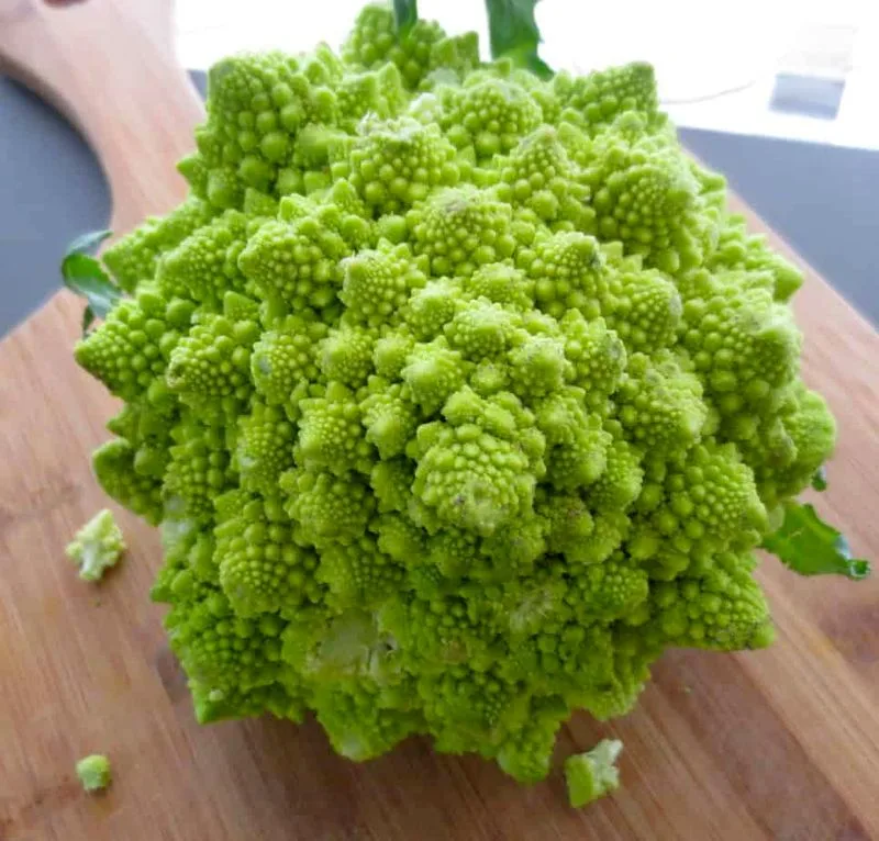 Romanesco Broccoli