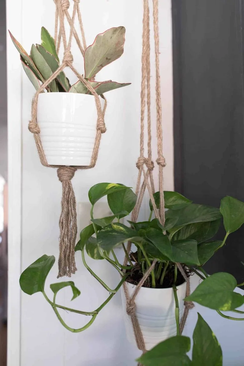 Rope Plant Hangers