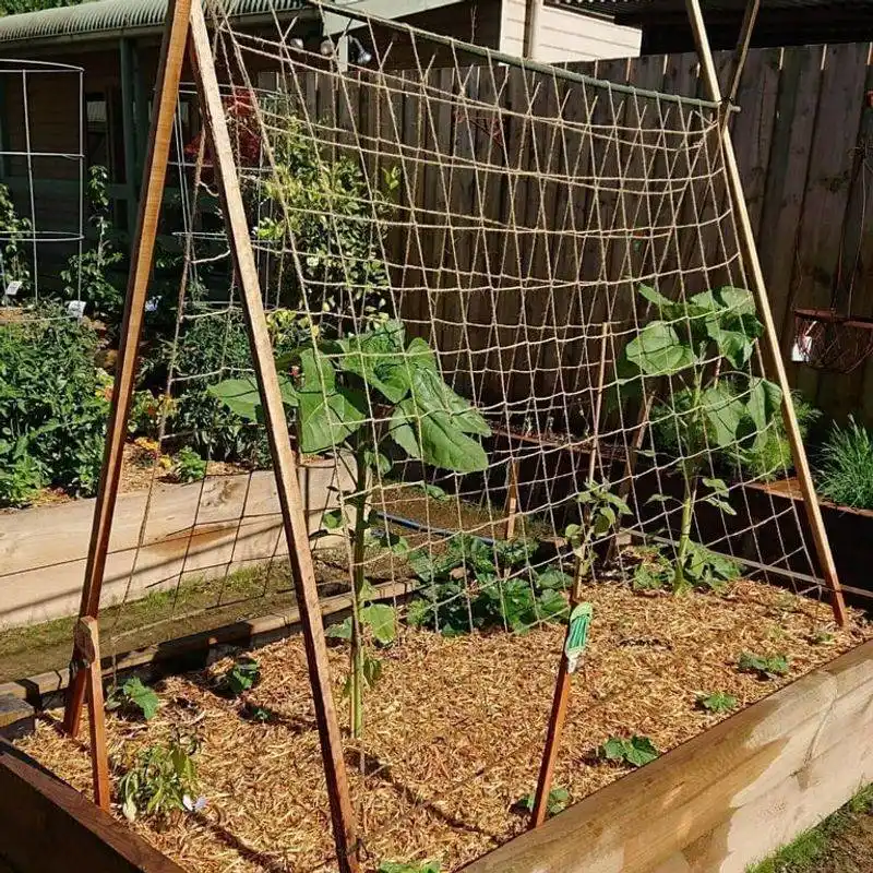 Rope Net Trellis