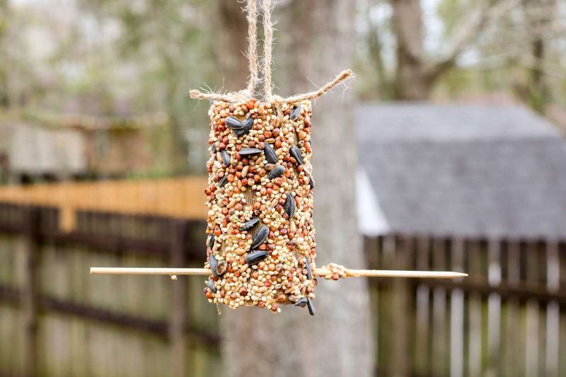 Rope Bird Feeder
